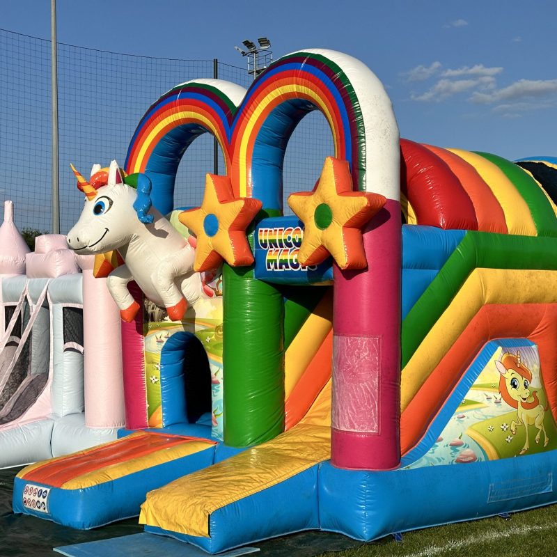 chateau bleu_rose + chateau licorne